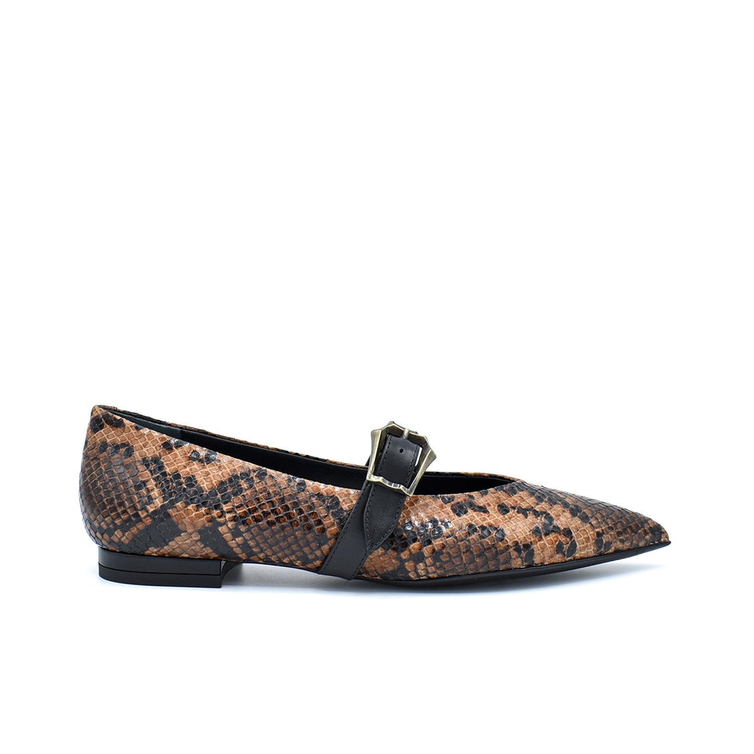 Sergio Levantesi Venere56 Oak Python Ballerina