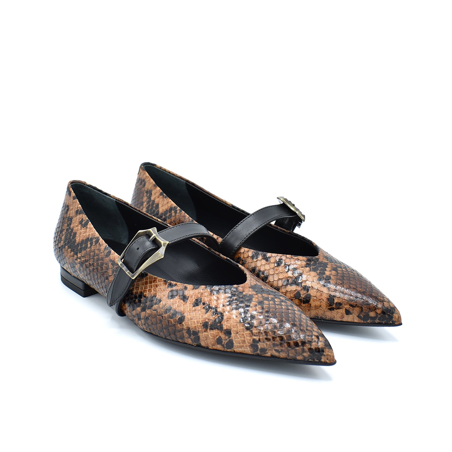Sergio Levantesi Venere56 Oak Python Ballerina