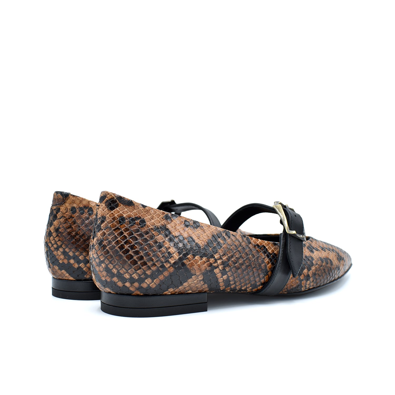 Sergio Levantesi Venere56 Oak Python Ballerina