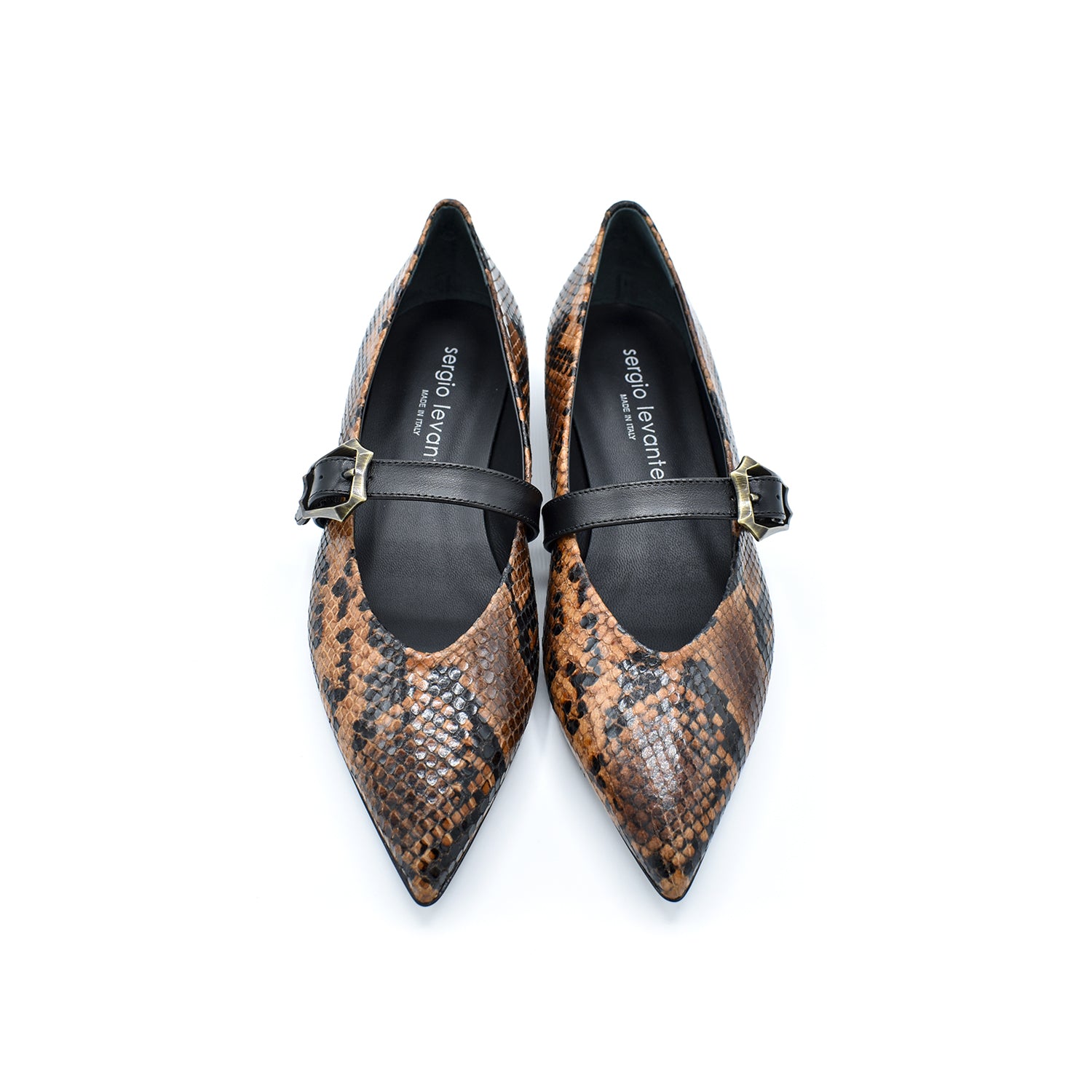 Sergio Levantesi Venere56 Oak Python Ballerina
